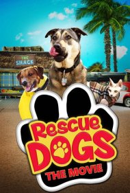 دانلود فیلم Rescue Dogs سال 2016 - سگهای نجاتدهنده
