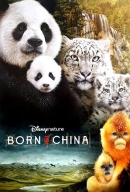 دانلود دوبله فارسی فیلم Born in China سال 2016 - متولد چین
