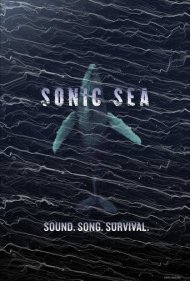 دانلود فیلم Sonic Sea سال 2016 - دریای صوتی