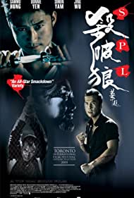 دانلود دوبله فارسی فیلم SPL: Kill Zone سال 2005 - منطقه کشتار