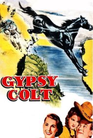 دانلود فیلم Gypsy Colt سال 1954 - کره اسب کولی