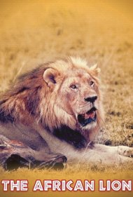 دانلود فیلم The African Lion سال 1955 - شیر آفریقایی