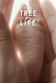 دانلود دوبله فارسی فیلم The Tree of Life سال 2011 - درخت زندگی