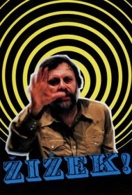 Žižek! 2005