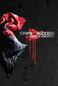 دانلود فیلم Crips and Bloods: Made in America سال 2009 - کریپس و بلادز: ساخت آمریکا