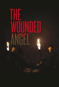 The Wounded Angel 2016