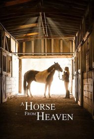 دانلود فیلم A Horse from Heaven سال 2018 - اسبی از بهشت