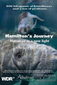 دانلود فیلم Hamilton's Journey - Manatees in a New Light سال 2014 - سفر همیلتون: گاوهای دریایی در نمایی جدید