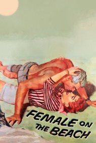 دانلود فیلم Female on the Beach سال 1955 - زنی در ساحل