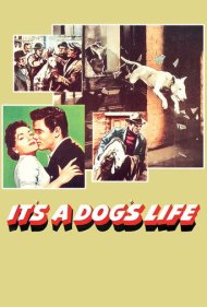 دانلود فیلم It's a Dog's Life سال 1955 - زندگی سگی
