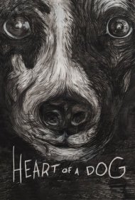 دانلود فیلم Heart of a Dog سال 2015 - قلب یک سگ