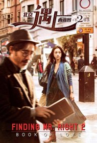Finding Mr. Right 2 2016