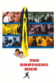 دانلود فیلم The Brothers Rico سال 1957 - برادران ریکو