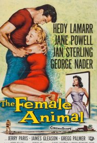 دانلود فیلم The Female Animal سال 1958 - حیوان ماده