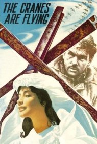 دانلود فیلم The Cranes Are Flying سال 1957 - درناها پرواز میکنند
