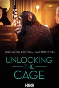 Unlocking the Cage 2016