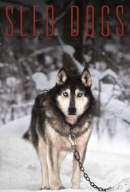 دانلود فیلم Sled Dogs سال 2017 - سگ‌های سورتمه