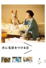 دانلود فیلم Dogs Without Names سال 2015 - سگهای بینام
