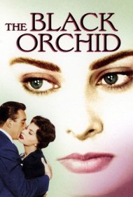 دانلود فیلم The Black Orchid سال 1959 - ارکیده سیاه