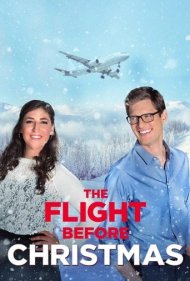 دانلود فیلم The Flight Before Christmas سال 2015 - پرواز قبل از کریسمس
