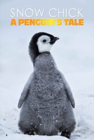 دانلود فیلم Snow Chick - A Penguin's Tale سال 2015 - جوجه برفی: داستان یک پنگوئن