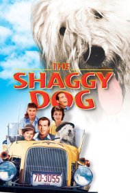دانلود فیلم The Shaggy Dog سال 1959 - سگ پشمالو