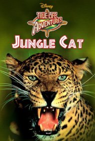 دانلود فیلم Jungle Cat سال 1960 - گربه جنگل