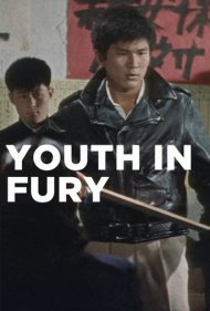 Youth in Fury 1960