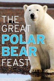 دانلود فیلم The Great Polar Bear Feast سال 2015 - ضیافت بزرگ خرس‌های قطبی
