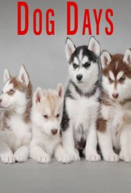 دانلود فیلم Dog Days سال 2016 - روزهای سگی