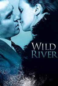 دانلود فیلم Wild River سال 1960 - رودخانه وحشی