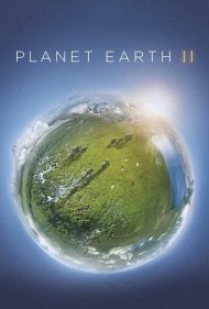 دانلود دوبله فارسی فیلم Planet Earth II سال 2016 - سیاره زمین 2