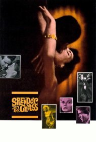 دانلود فیلم Splendor in the Grass سال 1961 - شکوه علفزار