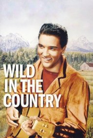 دانلود فیلم Wild in the Country سال 1961 - وحشی در دهکده