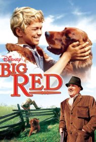دانلود فیلم Big Red سال 1962 - قرمز بزرگ