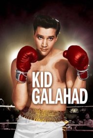 دانلود فیلم Kid Galahad سال 1962 - کید گالاهاد