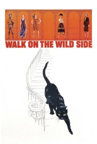 دانلود فیلم Walk on the Wild Side سال 1962 - گام برداشتن در مسیر وحش