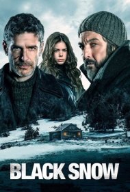 دانلود فیلم Black Snow سال 2017 - برف سیاه