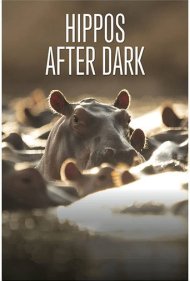 دانلود فیلم Hippos after Dark سال 2015 - اسب‌های آبی پس از تاریکی هوا