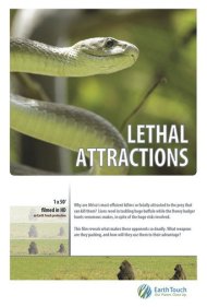 دانلود فیلم Lethal Attractions سال 2014 - جذابیتهای مرگبار