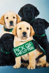 دانلود فیلم Pick of the Litter سال 2019 - بهترین تولهسگ