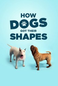 دانلود فیلم How Dogs Got Their Shapes سال 2016 - سگها چگونه این شکلی شدند