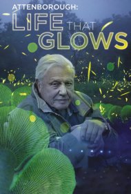 دانلود دوبله فارسی فیلم Attenborough's Life That Glows سال 2016