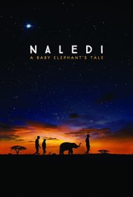 دانلود فیلم Naledi: A Baby Elephant's Tale سال 2016 - نالدی: قصه یک بچه فیل