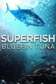 دانلود فیلم Superfish: Bluefin Tuna سال 2012 - ابرماهی: ماهی تن باله آبی