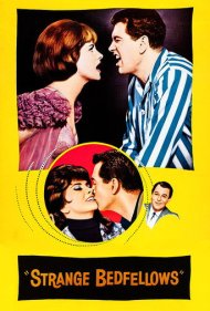 دانلود فیلم Strange Bedfellows سال 1965 - هم‌خواب‌های غریبه