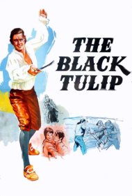 دانلود فیلم The Black Tulip سال 1964 - لاله سیاه