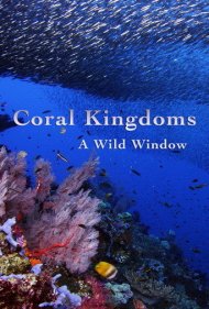 دانلود فیلم A Wild Window: Coral Kingdoms سال 2016 - پنجرهای رو به حیات وحش: قلمروهای مرجانی