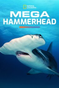 دانلود فیلم Mega Hammerhead سال 2016 - کوسه سرچکشی غول‌پیکر