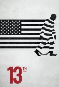 دانلود دوبله فارسی فیلم 13th سال 2016